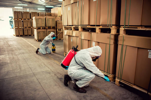 Best Pest Control Treatment  in Joshua, TX