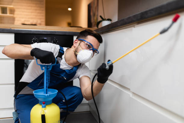 Best Emergency Pest Control  in Joshua, TX