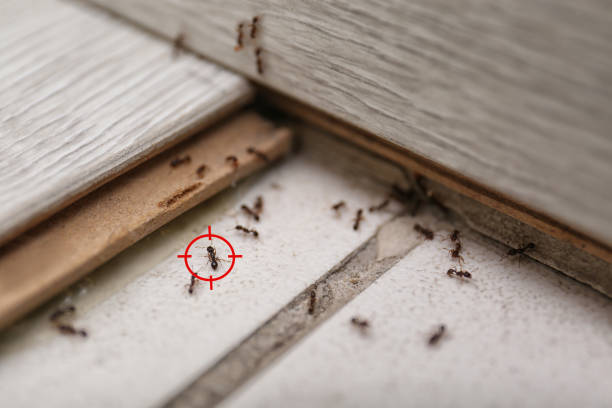 Joshua, TX Pest Control Company