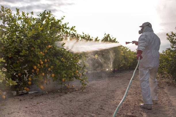 Best Affordable Pest Control Services  in Joshua, TX