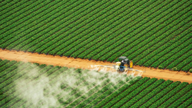 Best Termite Control Services  in Joshua, TX