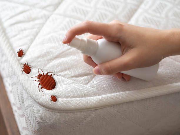Best Local Pest Control Services  in Joshua, TX