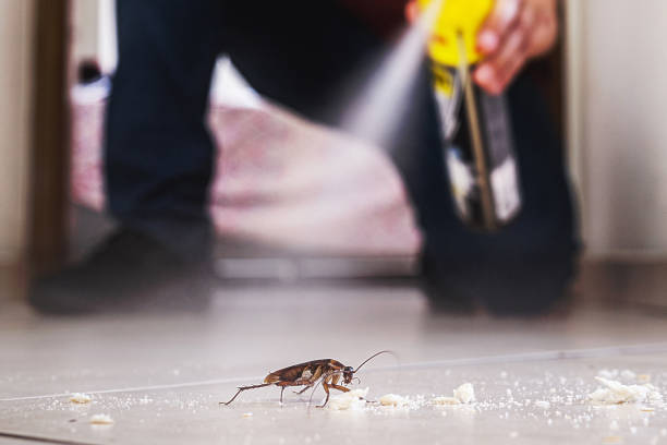 Flea Control Services in Joshua, TX