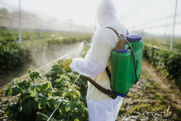 Best Exterminator Services  in Joshua, TX